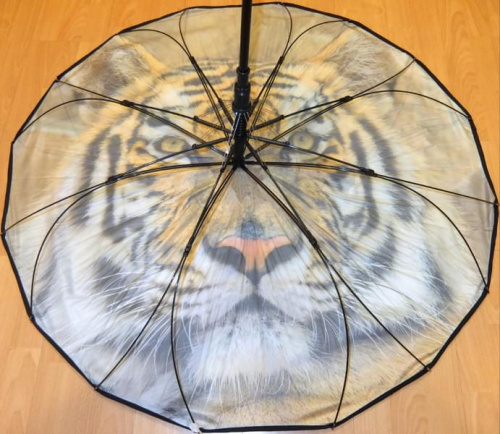 PARASOL FOTO